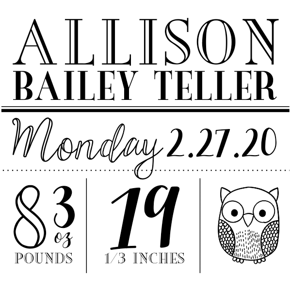 Custom Owl Baby Announcement Craft Stamp