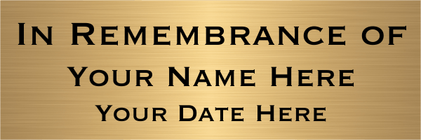In Remembrance Of Brass Plates | 2