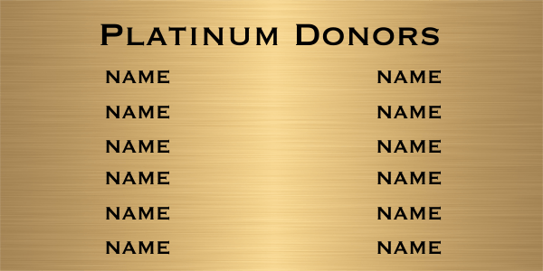 Custom 12 Name 12" x 24" Brass Plates