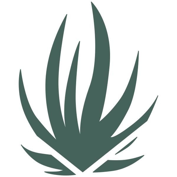Aloe Plant Stamp