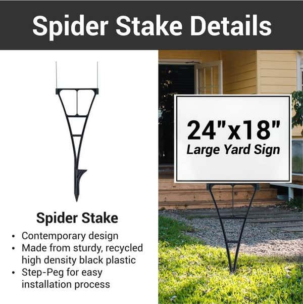 Spider