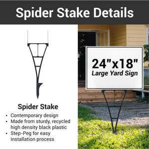 Spider