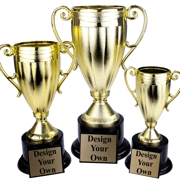 Frosted Cup Trophy Award Frosted Cup Trophy Award