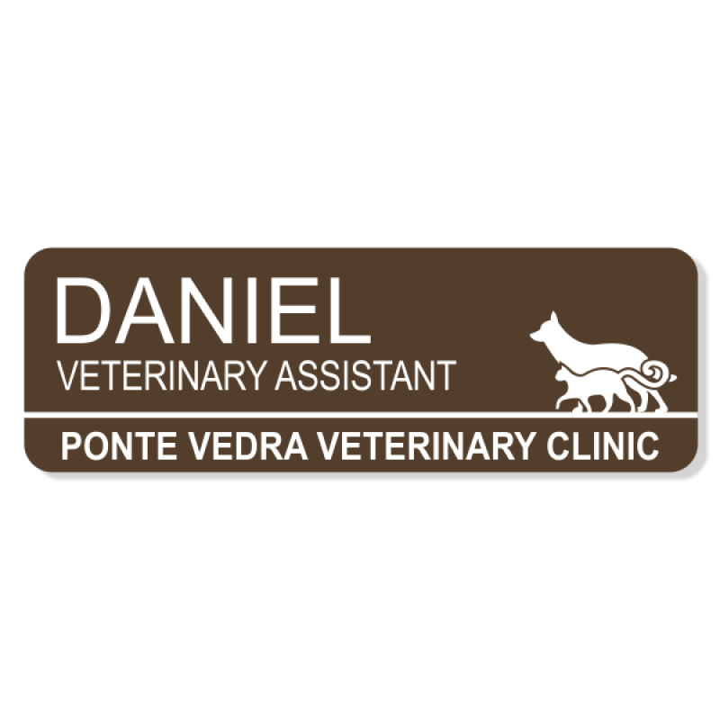 Dog and Cat Walking Together Veterinary Name Tag Dog and Cat Walking Together Veterinary Name Tag