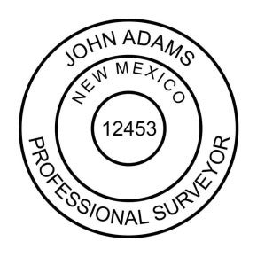 State of New Mexico Surveyor