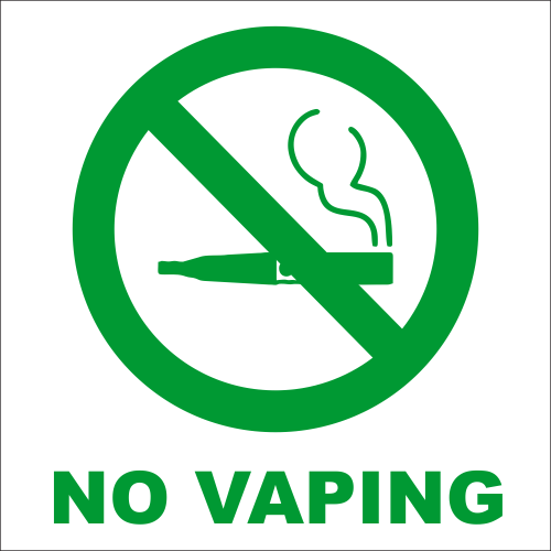 vape no id Elf Bar ELFA Master