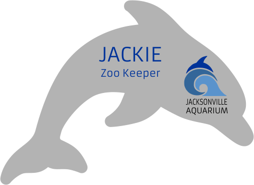 Dolphin Shaped Name Tag