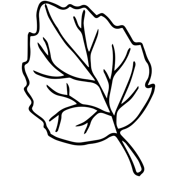 Elm Leaf Outline Stamp Simply Stamps