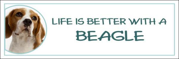 Life is Better with a Beagle Decal