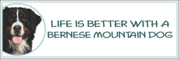 Life is Better with a Bernese Mountain Dog Decal