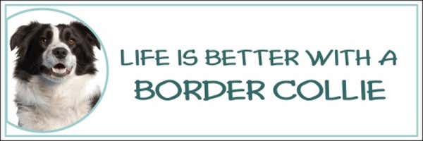 Life is Better with a Border Collie Decal