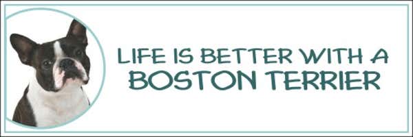Life is Better with a Boston Terrier Decal