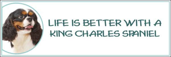 Life is Better with a Cavalier King Charles Spaniel Decal