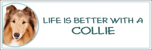 Life is Better with a Collie