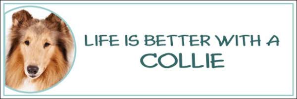 Life is Better with a Collie Decal