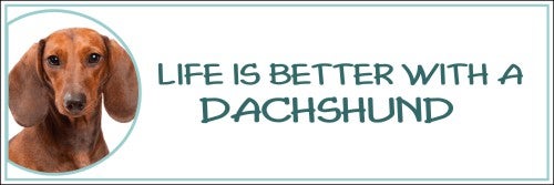 Life is Better with a Dachshund
