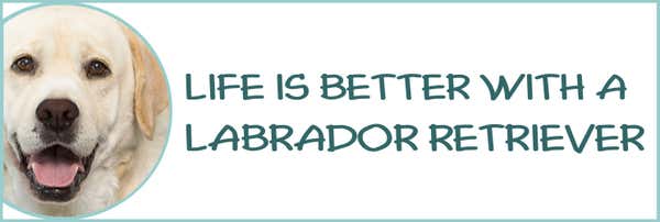 Life is Better with a Labrador Retriever Decal