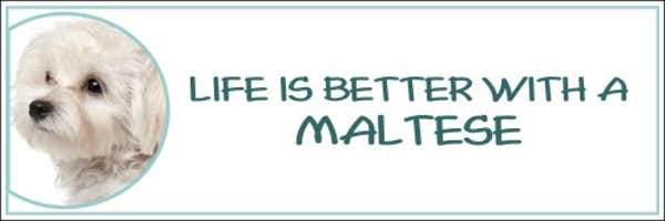 Life is Better with a Maltese Decal