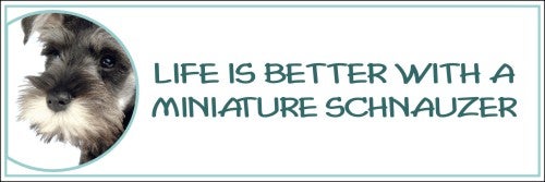 Life is Better with a Miniature Schnauzer