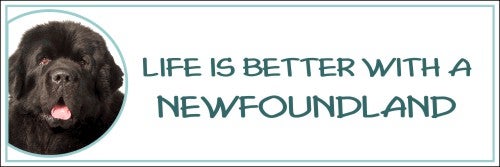 Life is Better with a Newfoundland