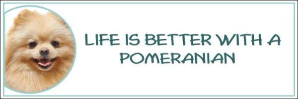 Life is Better with a Pomeranian Decal
