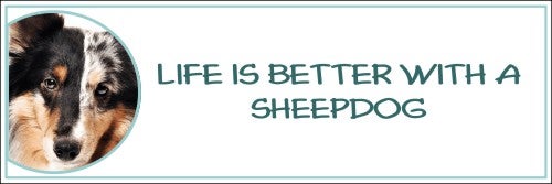 Life is Better with a Sheepdog