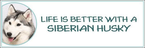 Life is Better with a Siberian Huskies