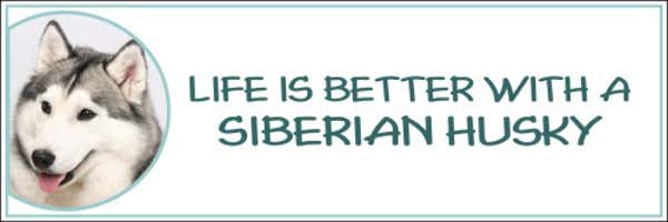 Life is Better with a Siberian Huskies Decal
