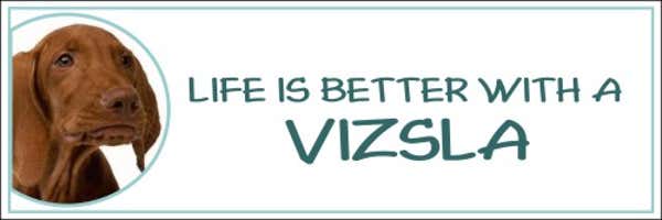 Life is Better with a Vizsla Decal