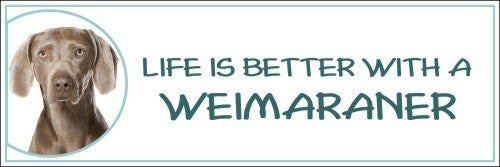 Life is Better with a Weimaraner