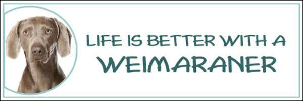 Life is Better with a Weimaraner Decal