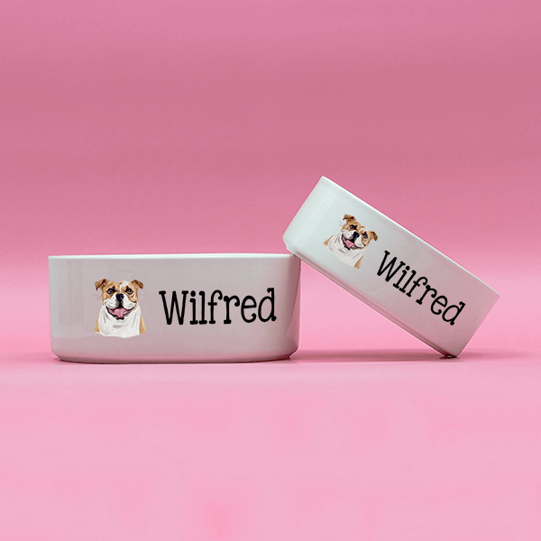 Custom Ceramic English Bulldog Dog Bowl Lifestyle