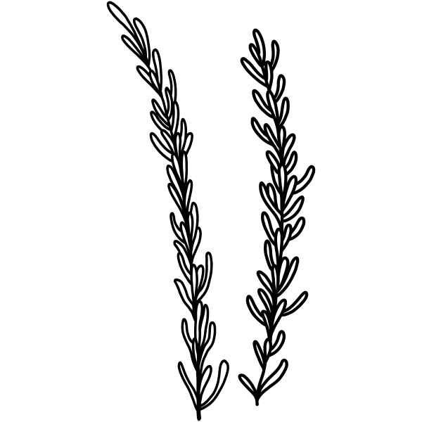 Rosemary Craft Stamp