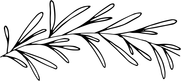 Seamless Eucalyptus Stamp